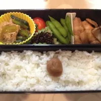 今日の夫婦お弁当|はちーさん