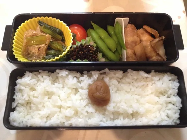 今日の夫婦お弁当|はちーさん