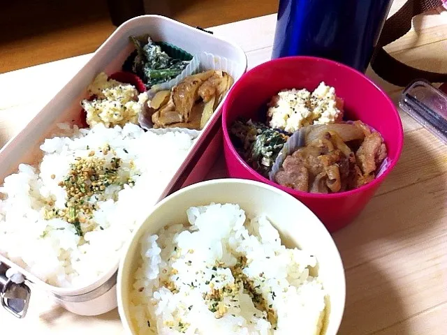 03/01 お弁当🍙|鈴木 なみさん