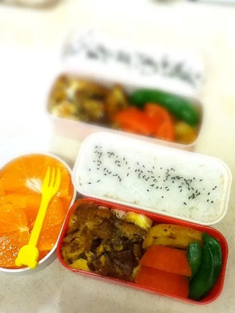 Snapdishの料理写真:今日のJK&OL弁当は親子煮。あっ 鴨で作ったら親子じゃないねw Today's lunch box is duck & egg.|hoppycowさん