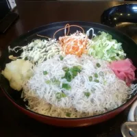 Snapdishの料理写真:釜揚げしらす丼　江ノ島「とびっちょ」|なおきさん