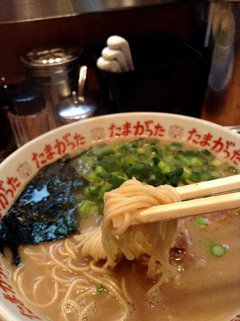 博多ラーメン|しばお（≧∇≦）さん