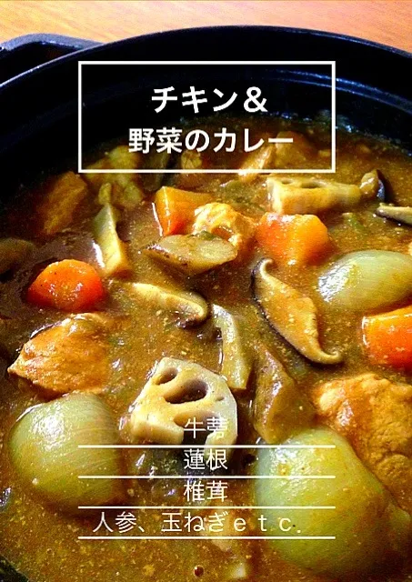 Snapdishの料理写真:チキン＆野菜のカレー|mina12さん