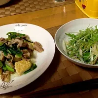 Snapdishの料理写真:塩もみ小松菜と豚バラ肉のチャンプルー&水菜と大根の中華サラダ|ふぅさんのママさん