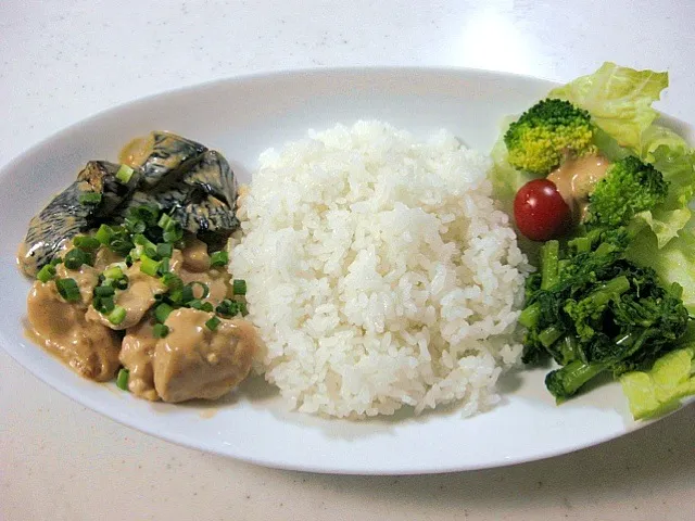 茄子と鶏肉の味噌マヨネーズあえプレート|信太郎さん