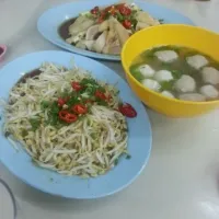 Snapdishの料理写真:Ipoh Bean Sprout Chicken(Nga Choi Gai)|chong wan juenさん