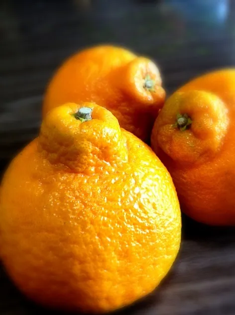 熊本産、しらぬいのぽんかん🍊|あやのさん