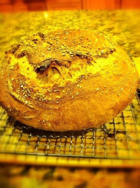 Sunday bread, stone ground whole wheat|Peter Simonさん