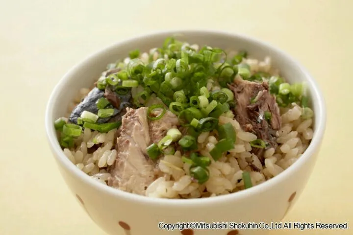 Snapdishの料理写真:さば缶詰の炊き込みご飯|食の楽しさ無限大！ ＦＯＯＺＡさん