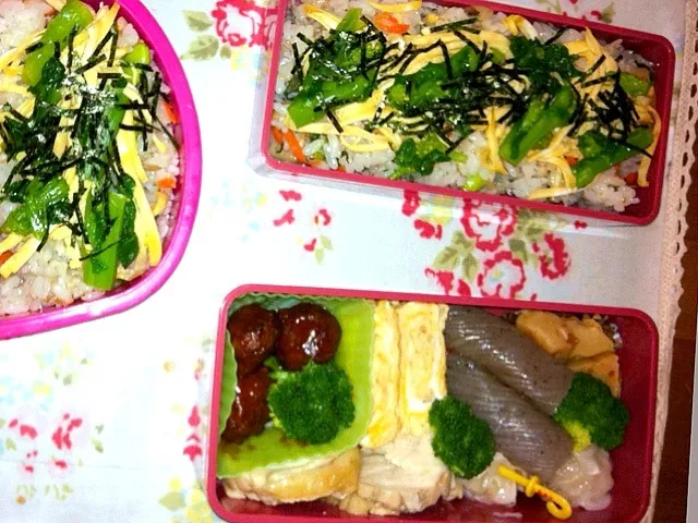 姉妹お弁当〜|晃さん