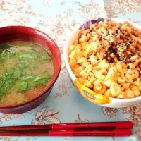 Snapdishの料理写真:鶏そぼろ丼(茶碗位置逆)|えりさん