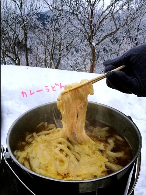 チーズカレーうどん|サクラさん