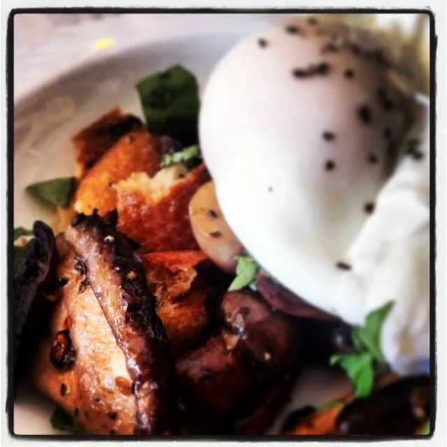 Wild Mushroom with Poached Egg|Andy (All Taken By Me, For You)さん