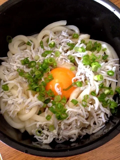 釜玉しらすうどん|あおいさん