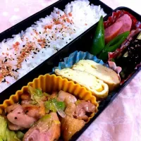 鳥のネギだれ弁当|前田あゆみさん