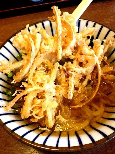 ごぼう天うどん|gtuさん