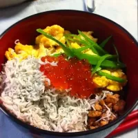 Snapdishの料理写真:そぼろ丼|けいこさん