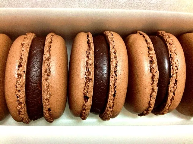 Chocolate Macaron|Tristan Choiさん