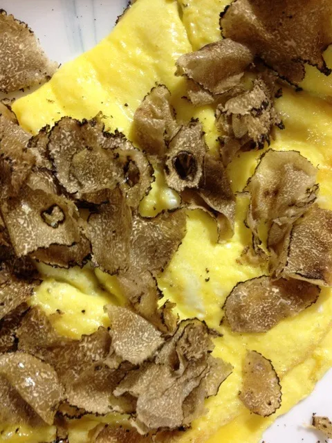 Spanish black truffle with egg|piggybistroさん