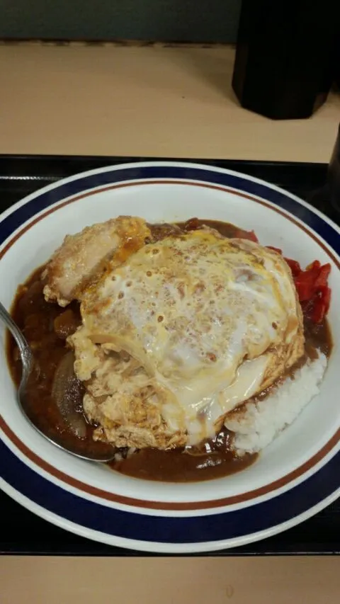 Snapdishの料理写真:カツ丼カレーなう|やまともさん