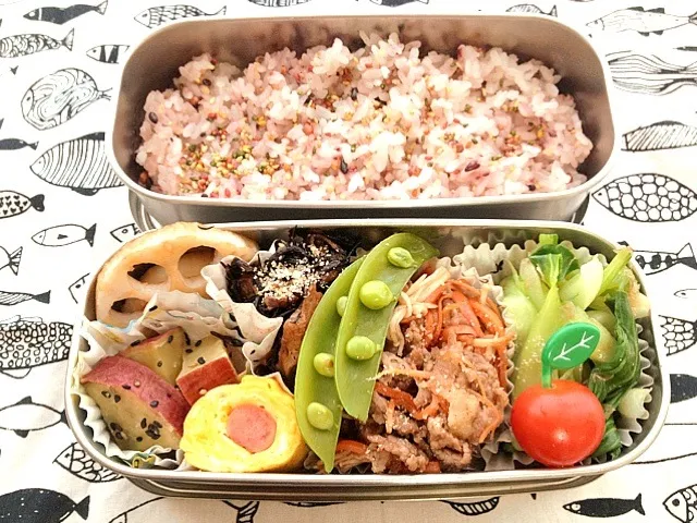 Snapdishの料理写真:お弁当☆|パピヨン☆さん