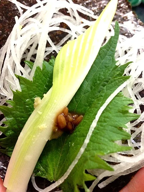 佐賀海苔でシャリ無し野菜マッキー(^O^)／|shikaさん