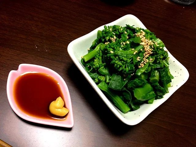 なんやかんやで菜の花は辛子醤油で食すのが一番の巻|こまさんさん