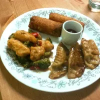 Snapdishの料理写真:General Tso's with Chicken "Potstickers" and Chicken and Shrimp rolls|Jeromeさん