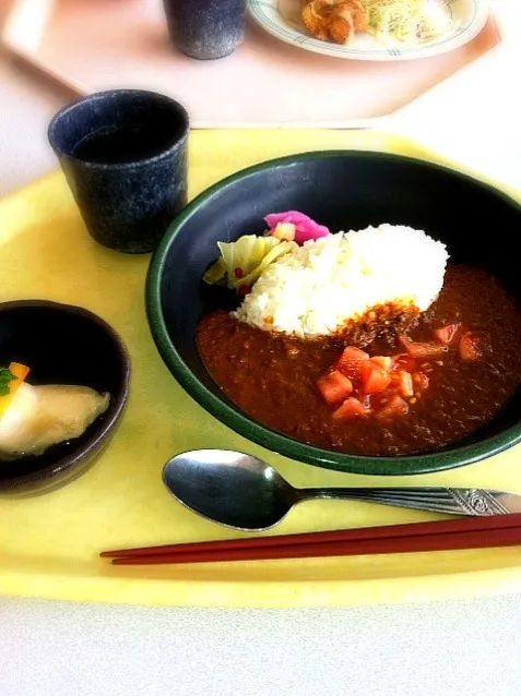 Snapdishの料理写真:スパイシーカレー(トマト)|すいかさんさん