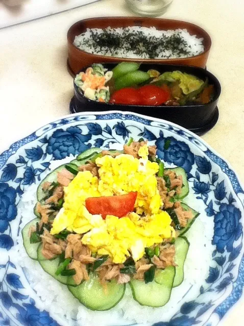 Snapdishの料理写真:今日のJKランチプレートはツナ葱丼。OL弁当は野菜炒めヤキソバソース味。Today's lunch plate for daughter is tuna leek bowl  & my lunch box.|hoppycowさん