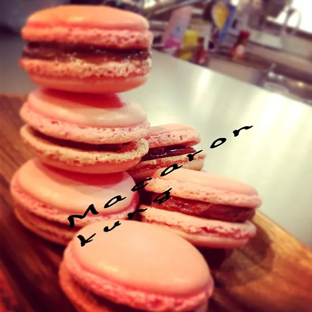 Macaron|Kungૅ˘੯ੁૂ‧̀͡u\กุ้งさん