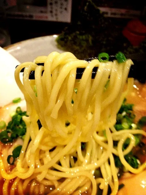 Snapdishの料理写真:風雲児、らーめんの麺|morimi32さん