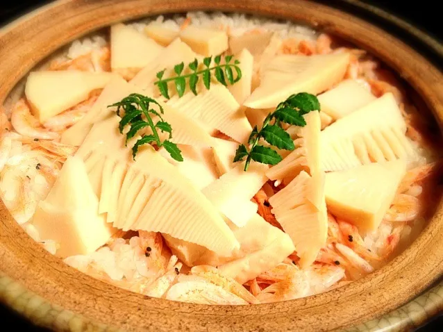 釜揚げ櫻海老筍土鍋御飯🍚|炊かれたいオトコ おこん 小栁津さん