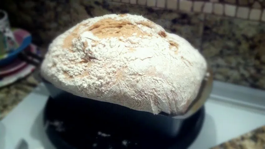 whole wheat bread|chelseaさん