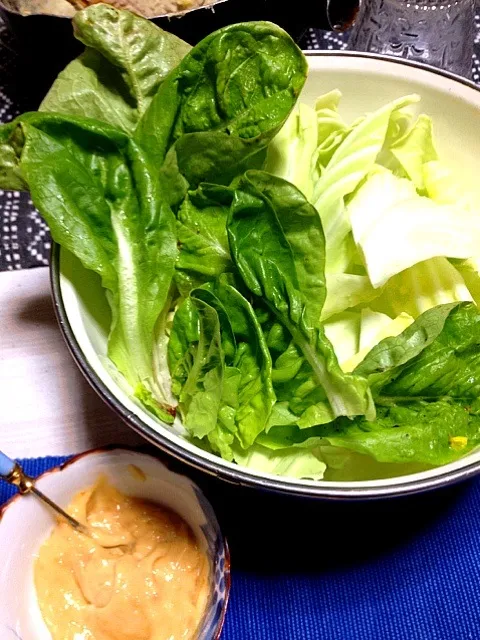 キャベツとサラダ菜に味噌マヨをつけて|あぼちさん