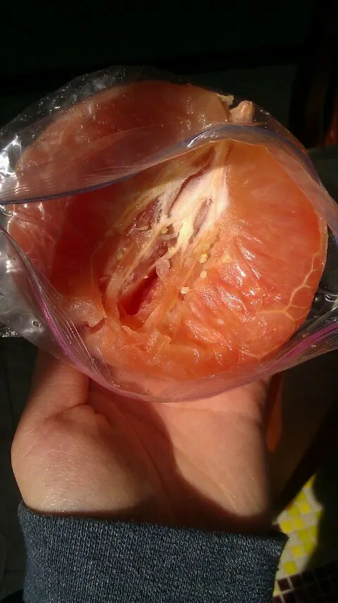 Snapdishの料理写真:half grapefruit|staphanyさん