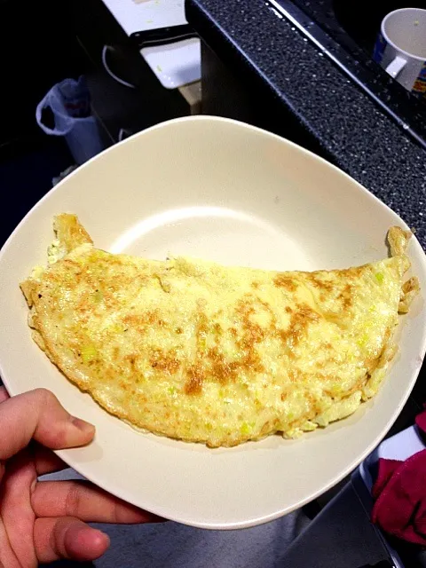 Omelette with leek|Ruyiさん