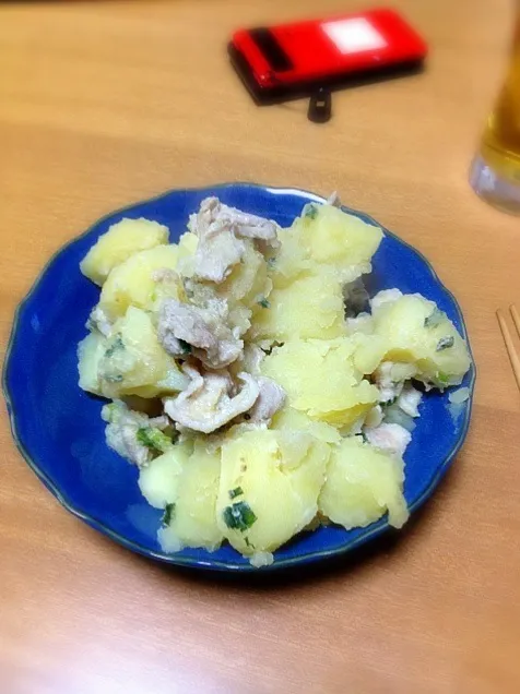 Snapdishの料理写真:塩味風肉じゃが|パコダテ人さん