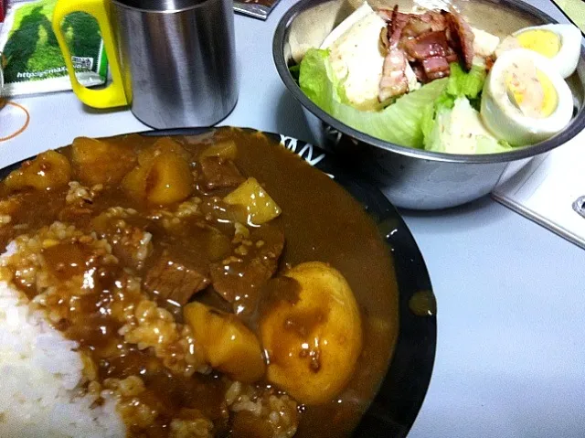 Snapdishの料理写真:カレーライスとサラダ|sigiさん