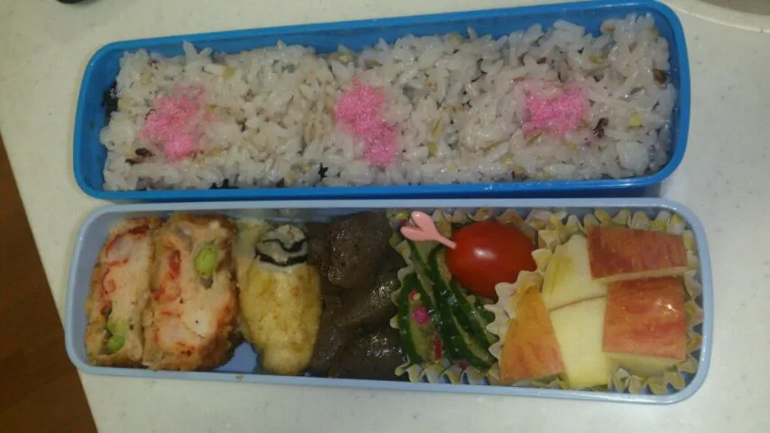 Snapdishの料理写真:本日の娘のお弁当|こばさちさん