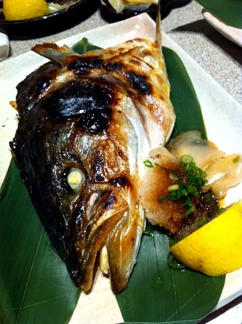 Grilled hamachi|mikko tanさん