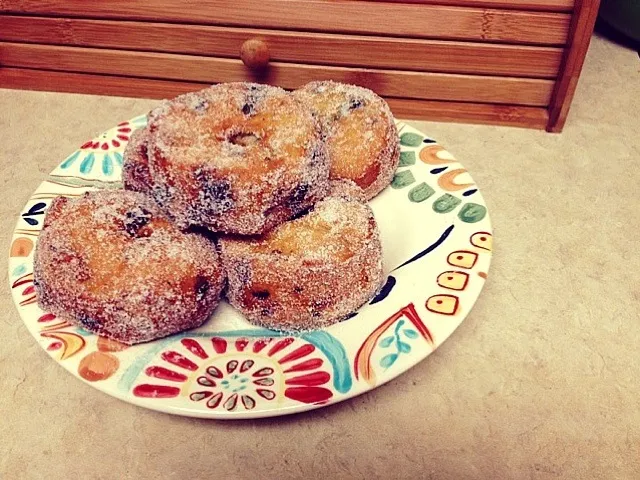 Blueberry Biscuit Sugar Doughnuts|Elizabethさん