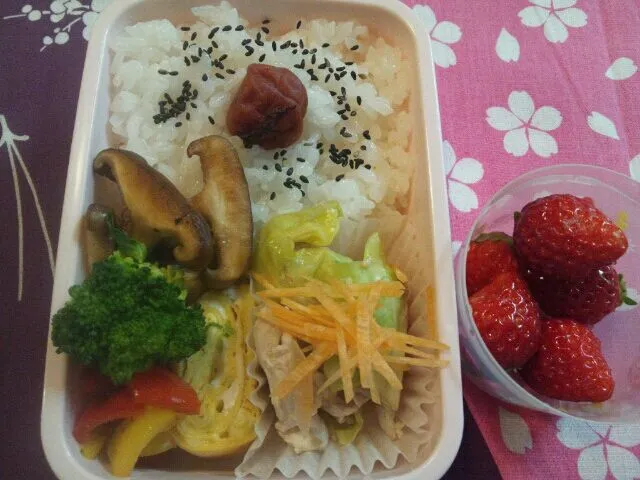 Snapdishの料理写真:3/13 お弁当|まみりんさん