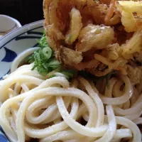 Snapdishの料理写真:ぶっかけうどん|@SAKURAさん