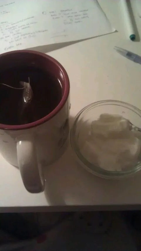 half cup of plain greek yogurt and cinnamon tea|staphanyさん