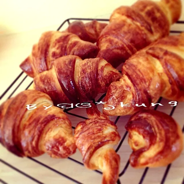 ครั้งแรกCroissantはじめてのクロワッサン꒰๑˃̴̥̥́ ㅂ˂̴̑๑꒱|Kungૅ˘੯ੁૂ‧̀͡u\กุ้งさん