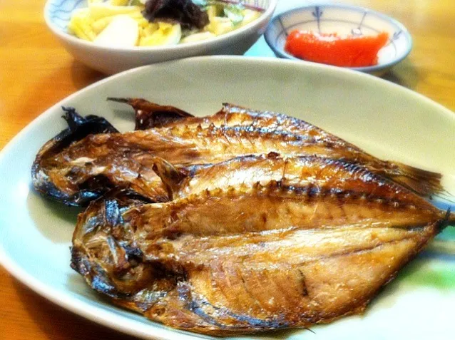 鯵の開きの干物 〜 美味しいなぁ。これに明太子もあって、炊きたての白米と豆腐入りの味噌汁があるなんて、幸せだなぁ。|リフルシャッフルさん