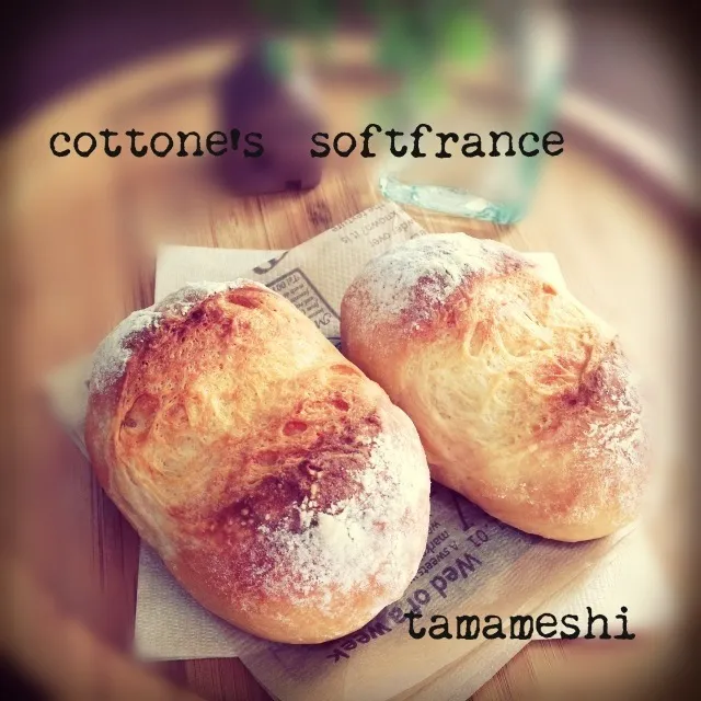 cottone's ソフトフランス＊みたび|tamaさん