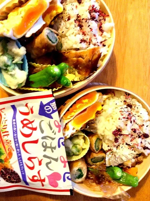 Snapdishの料理写真:3/15 お弁当🌸|aynyaynyさん