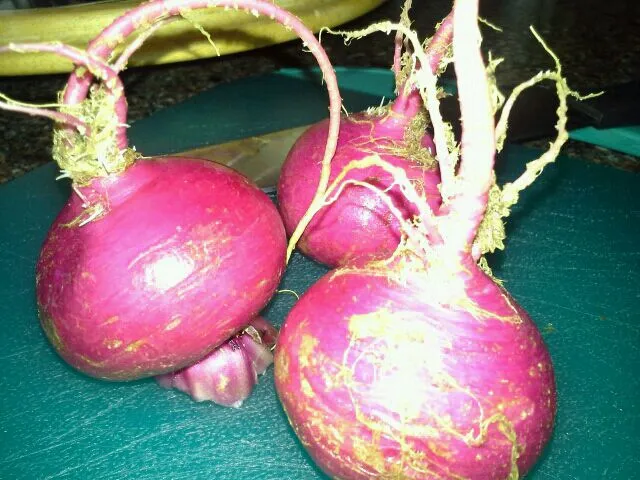 Baby turnips from the farmers market.|teresa murphyさん